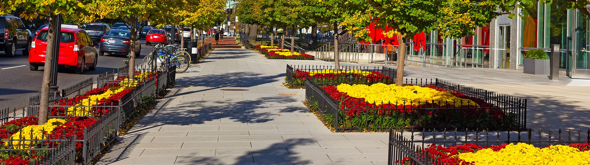 Flowerbeds along a DC street